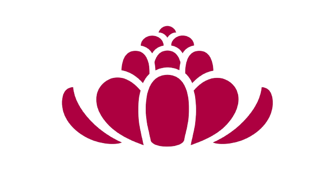 logo htn fond transparent 1